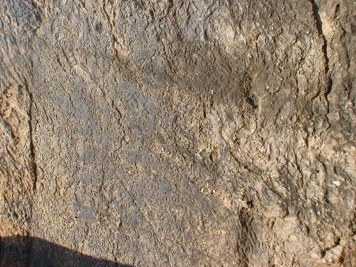 Special Article on Undavalli Anantha Padmanabha Swami Temple History, Padmanabha cave temple in Guntur